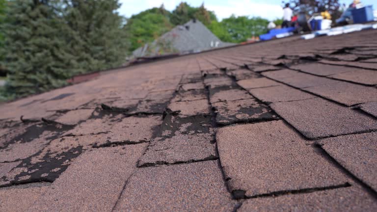 Best Wood Shake Roofing  in Orosi, CA