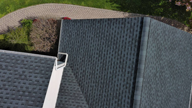 Best Skylight Installation and Repair  in Orosi, CA