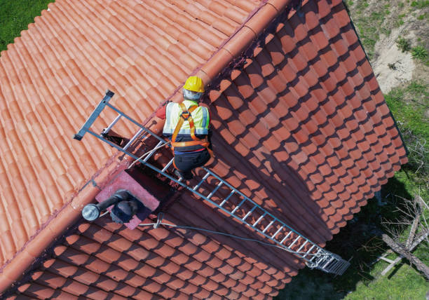 Best Chimney Flashing Repair  in Orosi, CA
